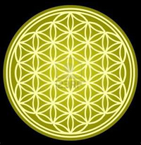 The Flower of Life